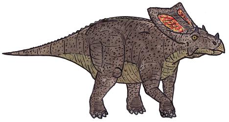 dinosaur picture chasmosaurus