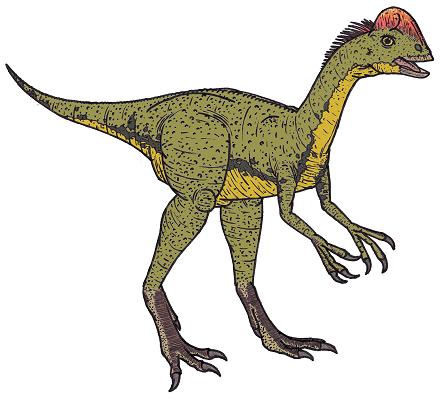 dinosaur picture chirostenotes