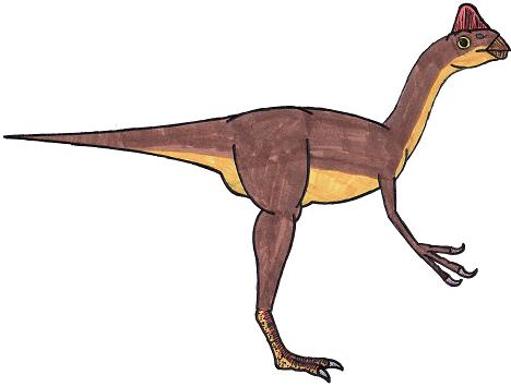 dinosaur picture oviraptor