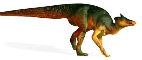 Saurolophus picture 3