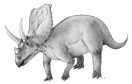 dinosaur picture chasmosaurus