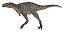 Aucasaurus was a carnivore (meat-eater) that lived from 81 to 74 million years ago