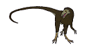 Sinosauropteryx was a carnivore (meat-eater) that lived from 125 to 122 million years ago