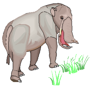 Platybelodon