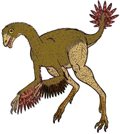 dinosaur picture Caudipteryx