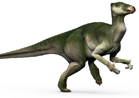 Iguanodon picture 6