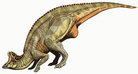 Lambeosaurus picture 2