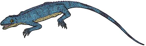 Millerosaurus
