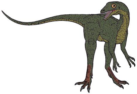 dinosaur picture scipionyx
