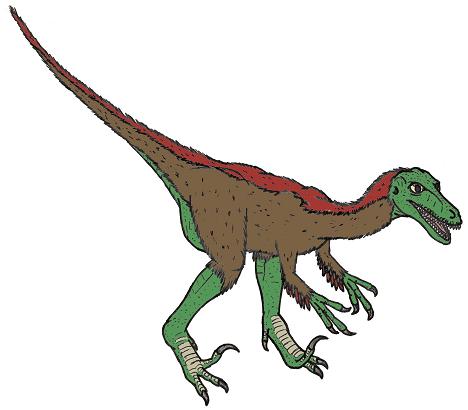 dinosaur picture sinornithoides