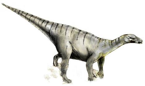 Iguanodon picture 5