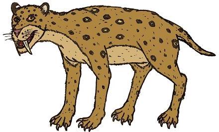 Smilodon picture 1