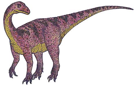 dinosaur picture unaysaurus