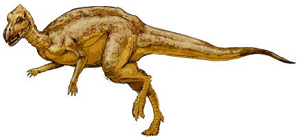 dinosaur picture zalmoxes