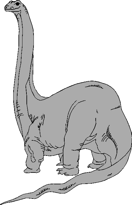 Brachiosaurus picture 3