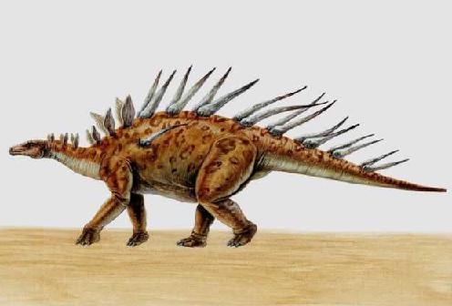Kentrosaurus picture 1