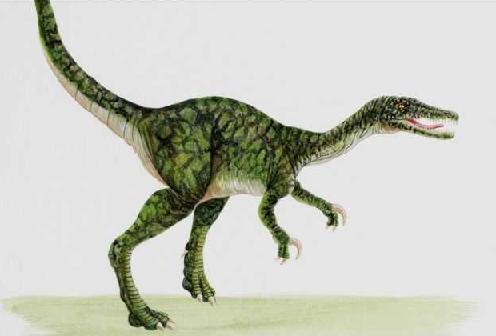 Baryonyx picture 1