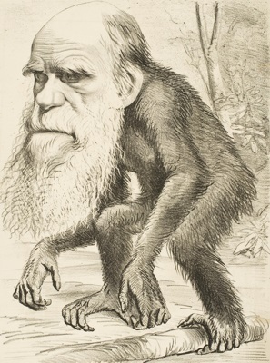 Caricature of Charles Darwin as an ape